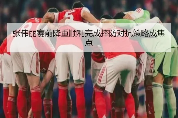 张伟丽赛前降重顺利完成摔防对抗策略成焦点